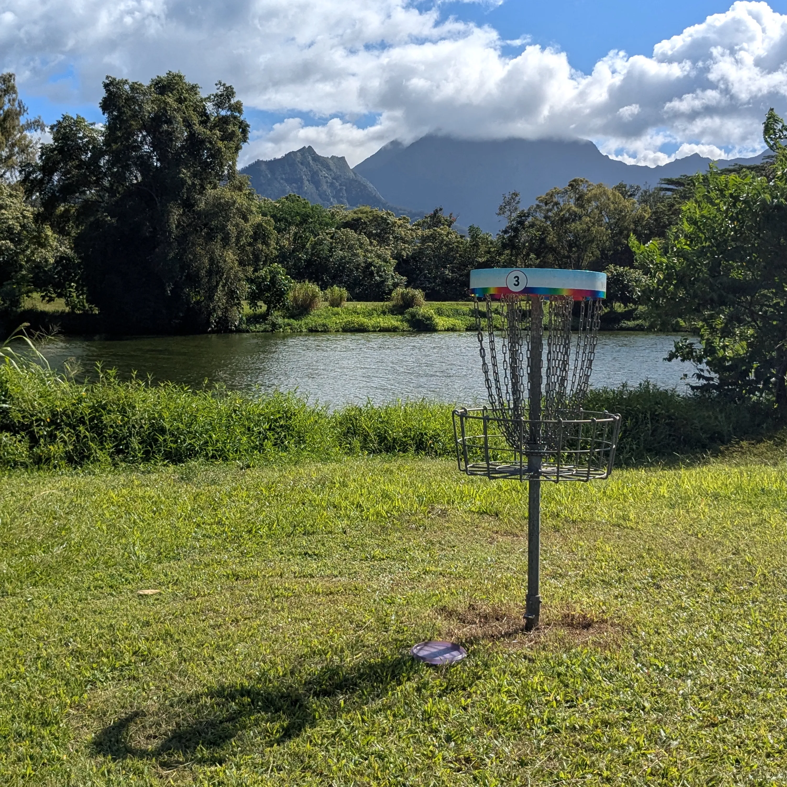 A disc golf basket