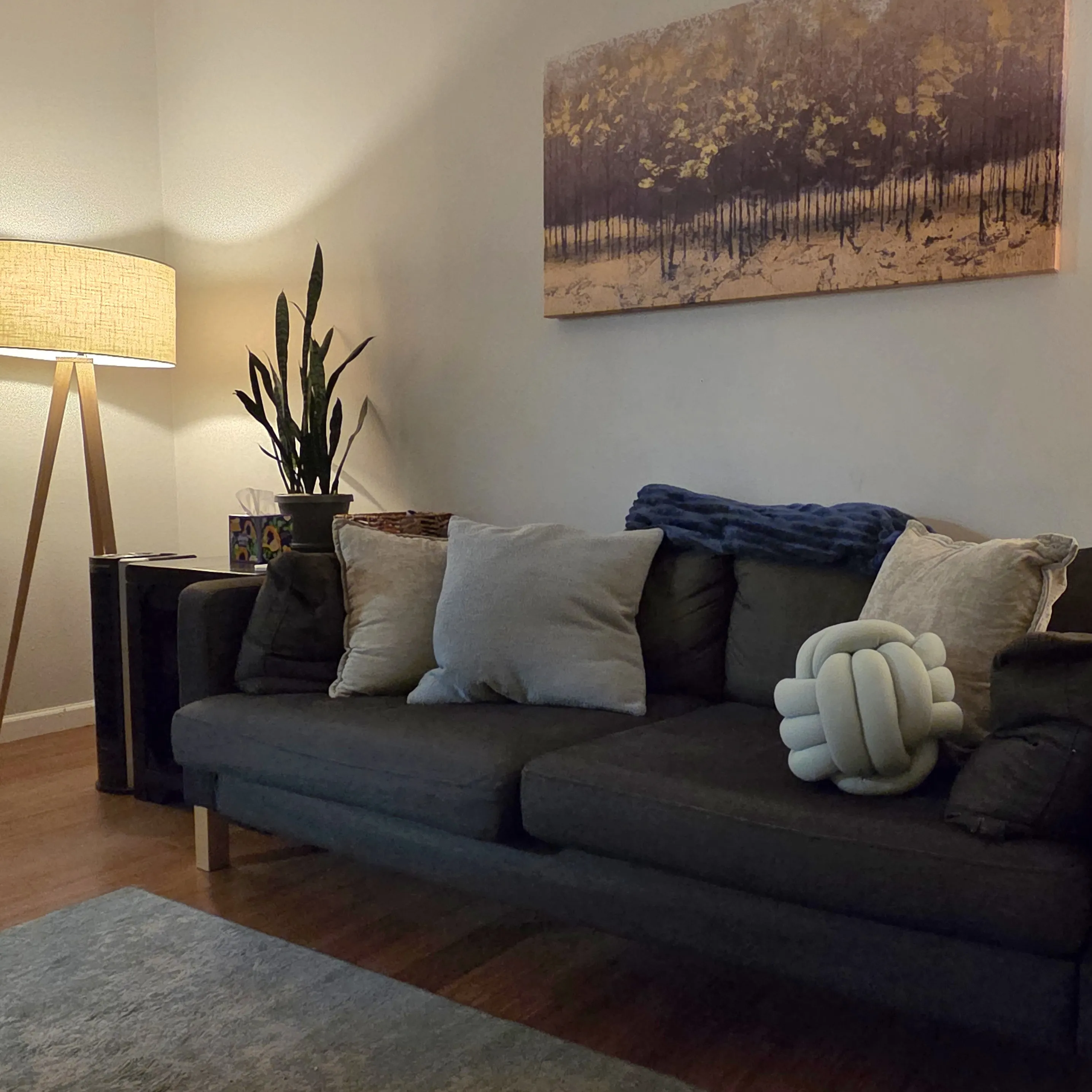 A comfortable therapy office